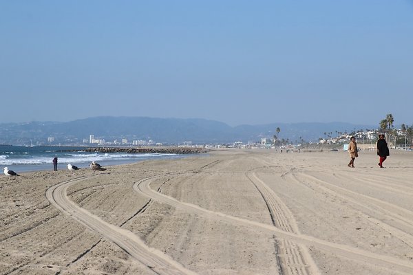 Dockweiler Lot2 53 - 17 of 54
