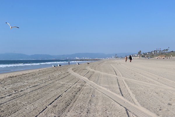 Dockweiler Lot2 53 - 14 of 54