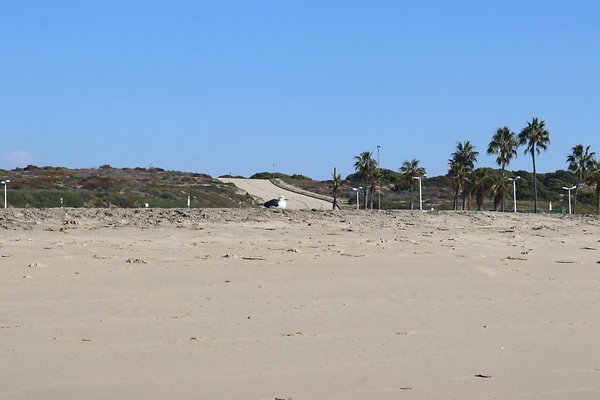 Dockweiler Lot2 53 - 43 of 54
