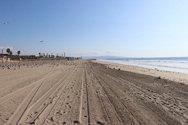 Dockweiler Lot2 53 - 6 of 54