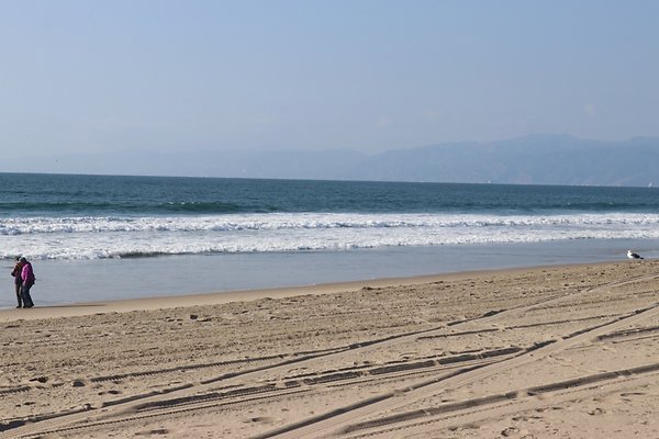 Dockweiler Lot2 53 - 52 of 54