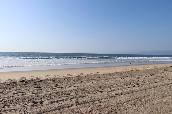 Dockweiler Lot2 53 - 12 of 54