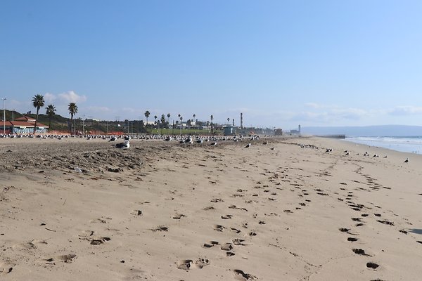 Dockweiler Lot2 53 - 24 of 54
