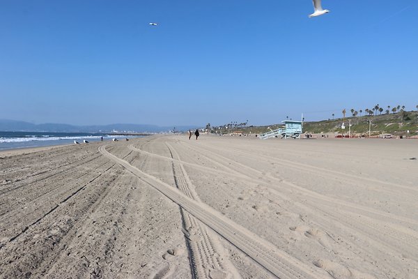 Dockweiler Lot2 53 - 15 of 54