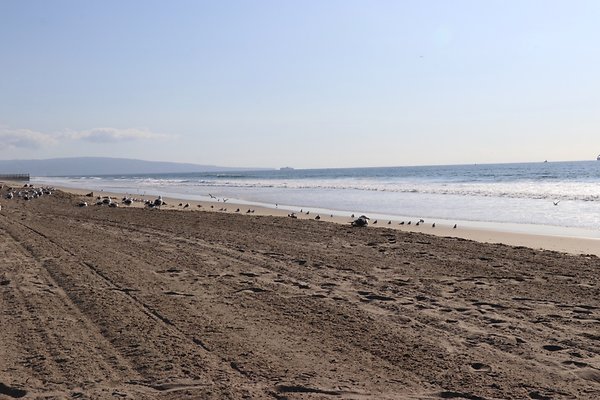 Dockweiler Lot2 53 - 9 of 54