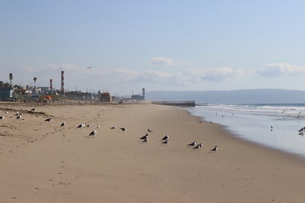 Dockweiler Lot2 53 - 49 of 54