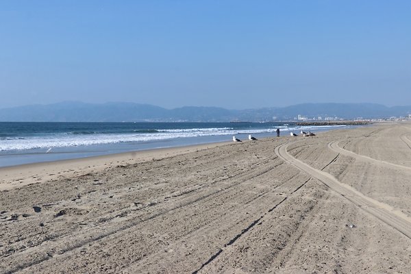 Dockweiler Lot2 53 - 16 of 54