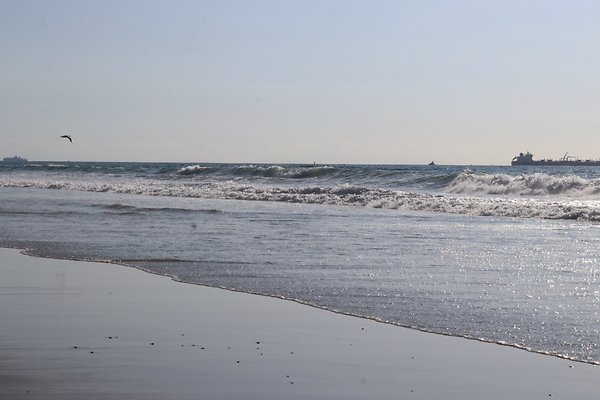 Dockweiler Lot2 53 - 48 of 54