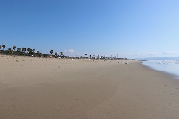 Dockweiler Lot2 53 - 45 of 54
