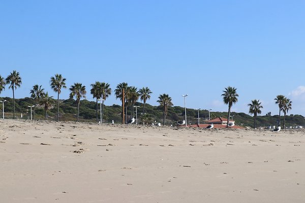 Dockweiler Lot2 53 - 44 of 54