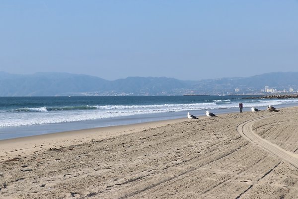 Dockweiler Lot2 53 - 18 of 54