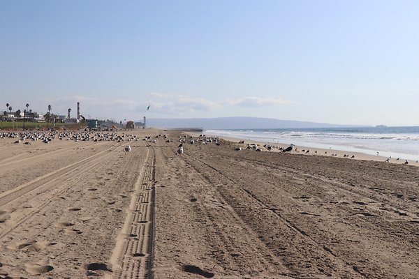 Dockweiler Lot2 53 - 8 of 54
