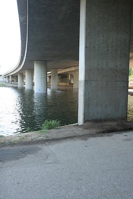 IMG 1501