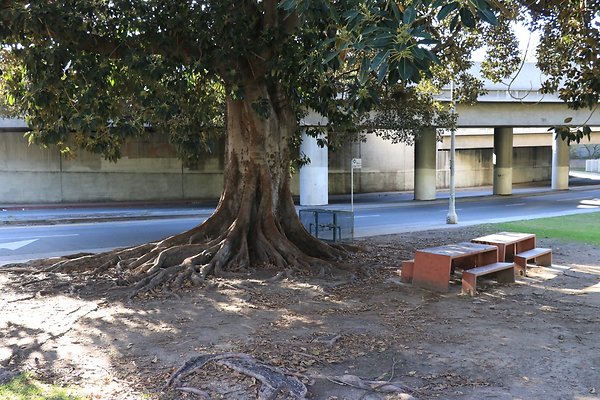 Hollenbeck Park - lake