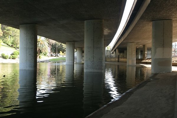 IMG 1566