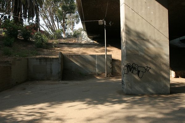 IMG 1525