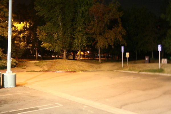 Westwood lot - 06