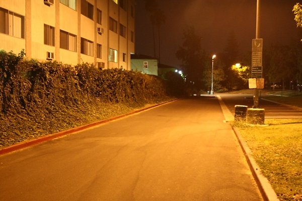 Westwood lot - 12