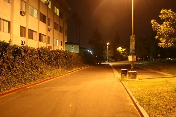 Westwood lot - 11