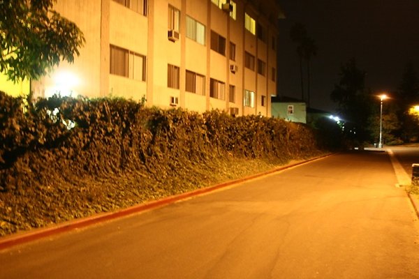 Westwood lot - 10