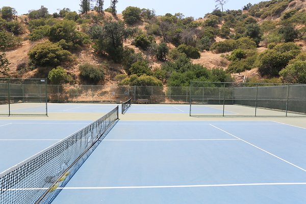 Griffith Tennis  - 14