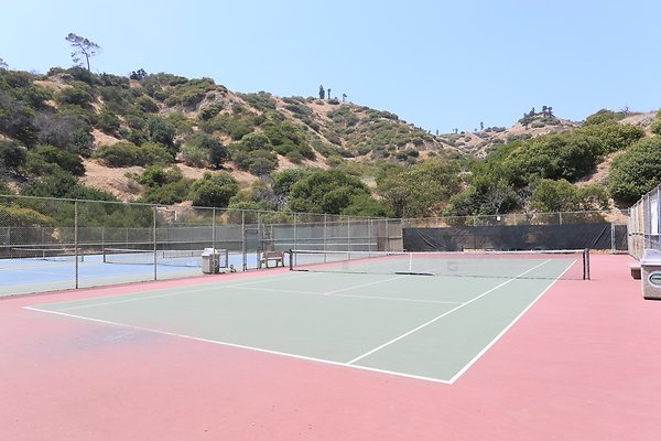 Griffith Tennis 
