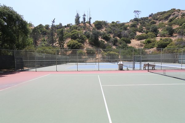 Griffith Tennis  - 06