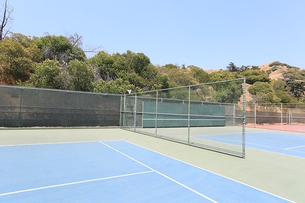 Griffith Tennis  - 19