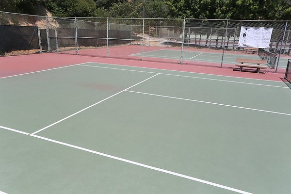 Griffith Tennis  - 12