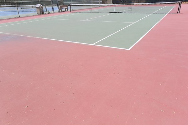 Griffith Tennis  - 02