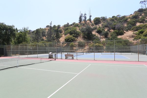 Griffith Tennis  - 10