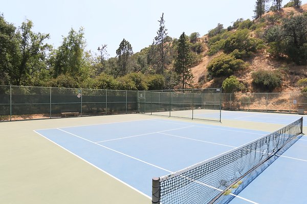 Griffith Tennis  - 16