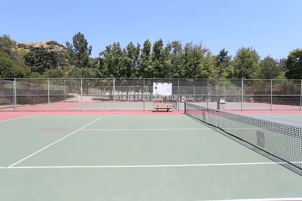 Griffith Tennis  - 11