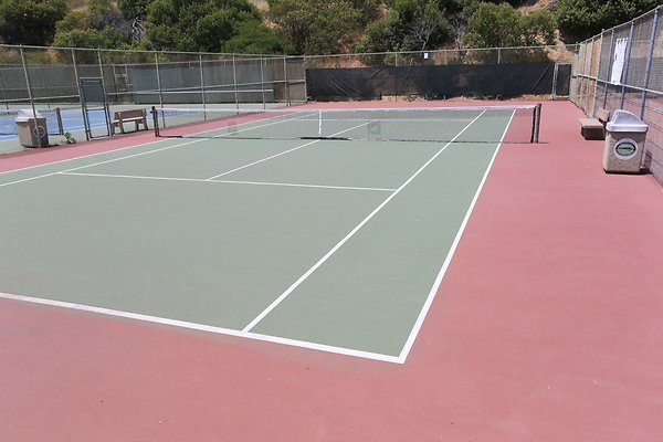 Griffith Tennis  - 03