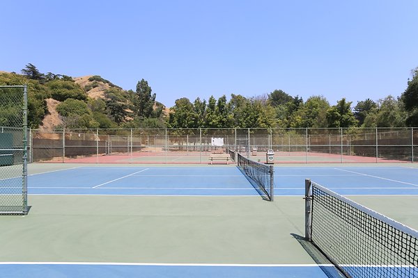 Griffith Tennis  - 18