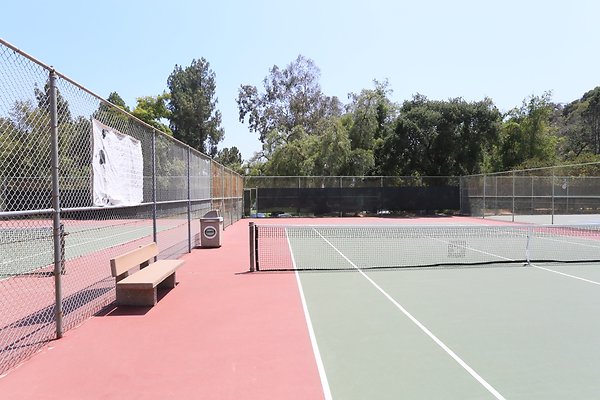 Griffith Tennis  - 09