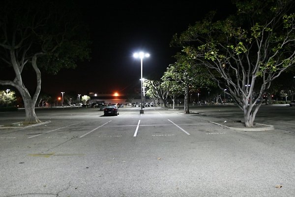 Westwood Fed lot - 13