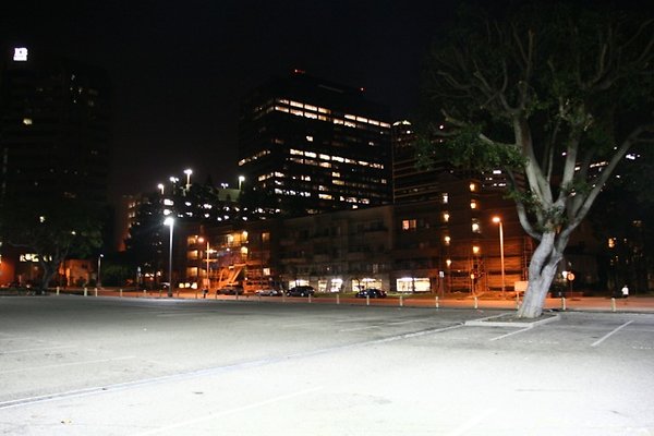 Westwood Fed lot - 11