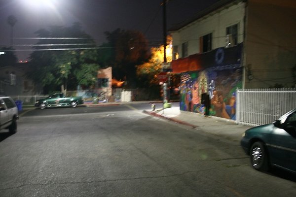 VistaHermosa Bixel 2 - 11