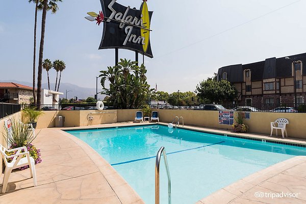 pool--v14542609